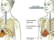 respiración herramienta transformación