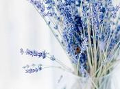 Foto día: Ramillete lavanda