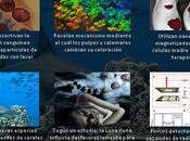 Esta semana ciencia Julio 2013