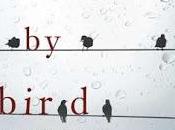 Bird bird