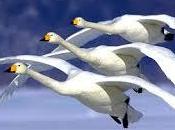 camino sincronicidad