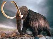 Wrangel, dominio último mamut