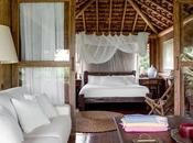 Cabana Rustica Actual