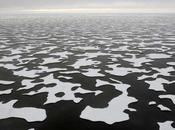 ecosistemas polares vulnerables solar