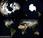 ¿Quieres Tierra respirando? Espectacular animación creada imágenes NASA