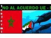 Western Sahara Resource Watch cuestiona legalidad Acuerdo Pesca entre España Marruecos
