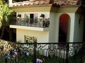 Casas diferentes para perros