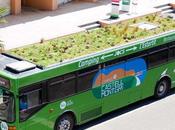 Jardines sobre ruedas