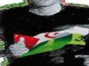 Creación Comité Popular Saharaui Solidaridad Atleta saharaui Salah Amaidan