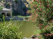 Jardines
