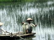 Ecosistemas agua dulce, zonas inundables