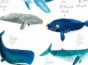 Foto día: Cuadros infantiles ballenas