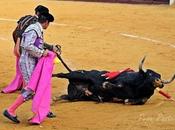 Atracón corrida moderna