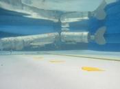 Nuevo robot acuático inspirado carpas