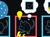 Implantan recuerdos falsos cerebro ratones