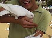 José juan cárdenas, coleccionista ideas