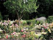 Barcelona parque cervantes