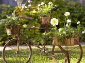 Bicicletas, flores verano