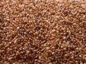 Teff cereal apto para celiacios multiples propiedades saludables