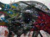 Animal Tecnica Mixta