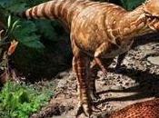 Hallan nueva especie dinosaurio