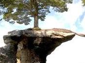 Pino "CHAPEL ROCK", Parque Nacional Pictured Rocks