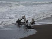 LOOK232-16.8.19638:15Buenos días, amiga!!Empezamos día...