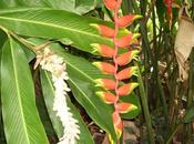 LOOK228-12.8.20138:15¡¡Qué nuevo amiga!!Ya estoy d...