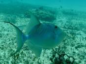 LOOK225-7.8.20138:15¡¡Hoy brilla espec...