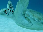 LOOK223-5.8.20138:15¡¡Comparto fotos vosot...