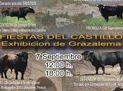 próximo sábado, cita carcabuey toro cuerda