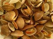 Conchas Finas rehogadas vino fino Jerez