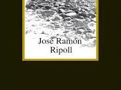 José Ramón Ripoll. Piedra rota