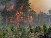 Brigadas luchan apagar llamas Sierra Bahoruco