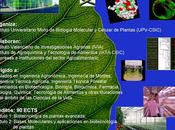 Abierta preinscripción Máster Biotecnología Vegetal