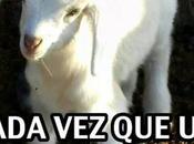 ‘Vosotros sois’ unos rebenques sobres azúcar más)