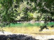 Fragas Eume, bosque encanto