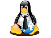 ¿Quién Linux? Famosos, organizaciones, empresas, hackers,…
