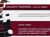 Advantix responde videos consultas propietarios perros