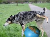 Mondo Cane, versión G-20
