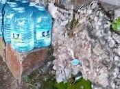 Agosto instagramizado