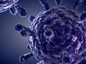 Vacuna experimental elimina completamente virus sida monos
