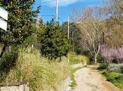 Santa Coloma Gramenet Montcada Reixac font l'Amigó