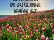 Dios todo