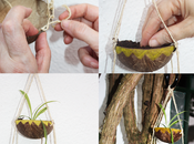 Diy: macetero cocos