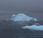 anciano barbado iceberg Antártida