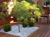 Jardín diseño ampliación porche