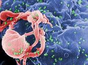 ubica nuevo escondite virus VIH, malandrín escurridizo