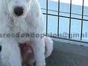 Están fuera plazo!!!!!!!!!!!!