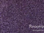 Rinôçérôse Retrospective